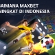 Panduan Taruhan Olahraga: Bagaimana Maxbet Meningkat di Indonesia 7